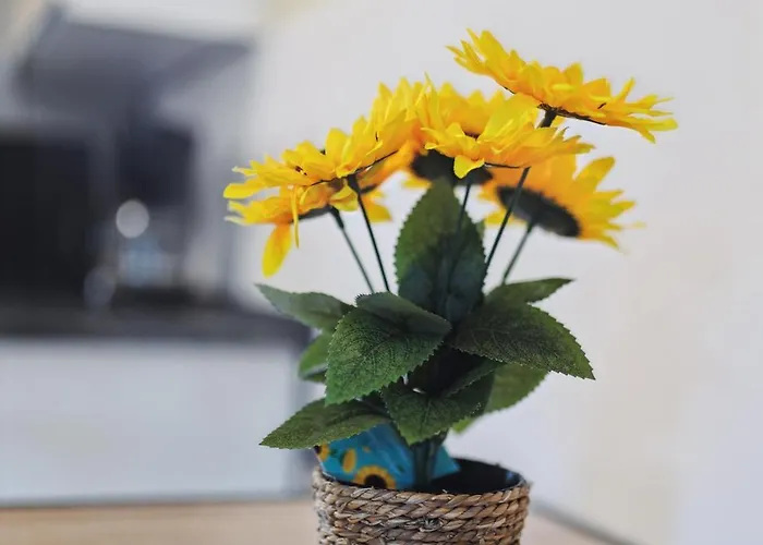 Stadtrand, 4 Personen, Nahe Bahnhof Und Apartment Halberstadt